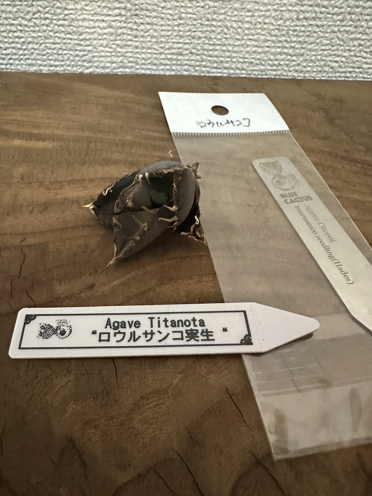 アガベオークション | アガオク | アガオク